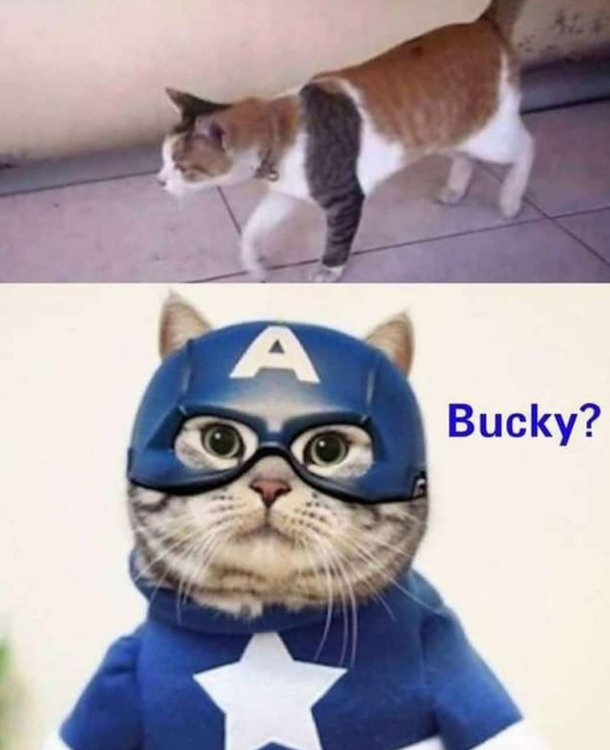 Gentleman we got him