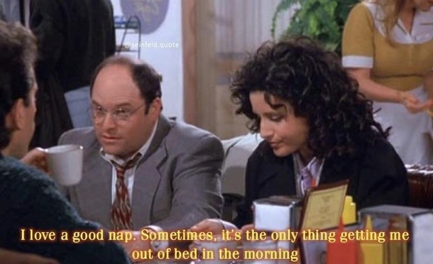 George is my spirit animal