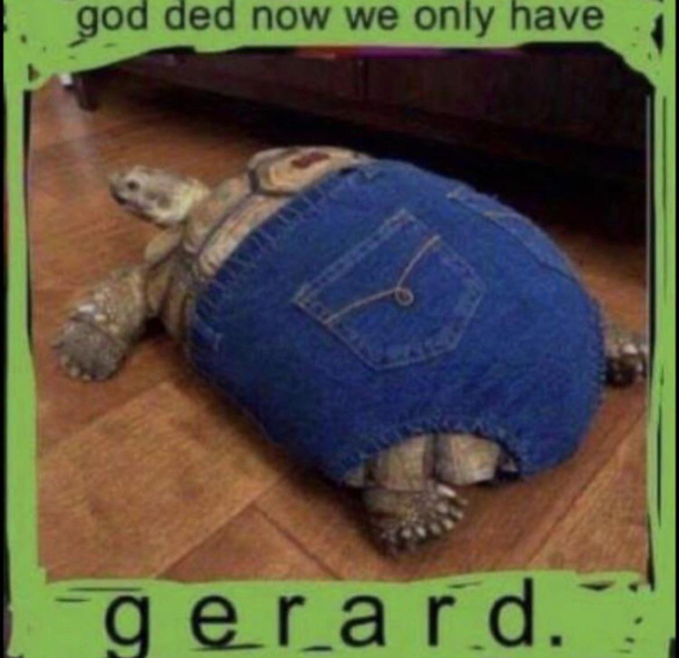 Gerard is love Gerard is life