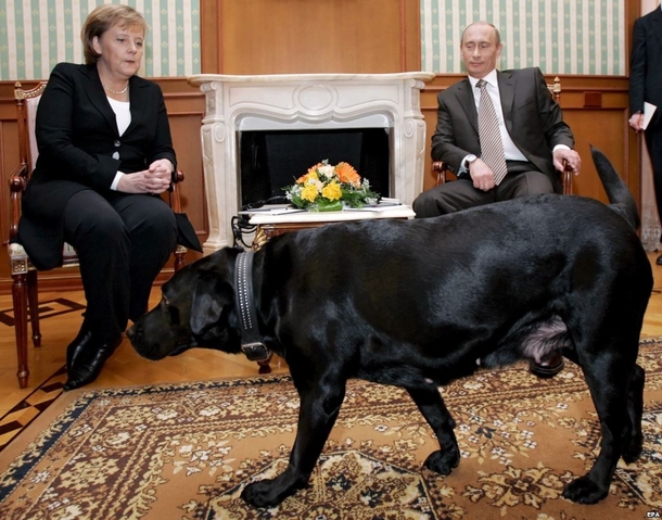 German Chancellor Angela Merkel has a known fear of dogs Well guess who Vladimir Putin brings with him every time she visits him