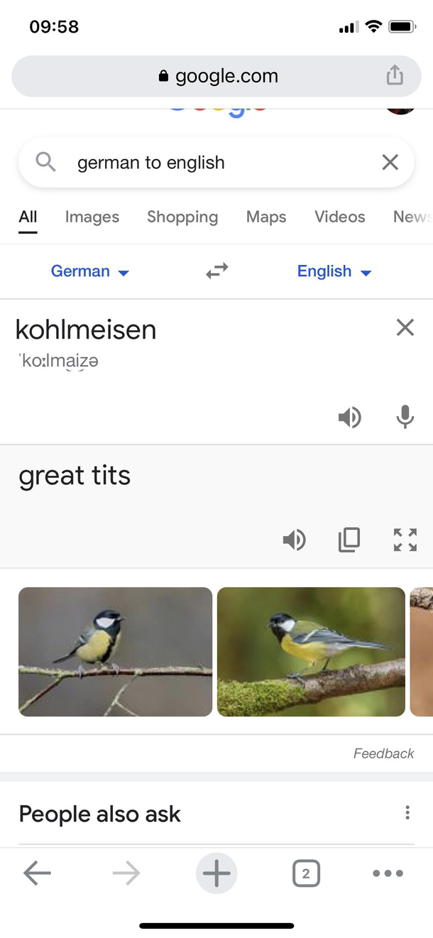 German clothing company wanted to know the english translation for a bird