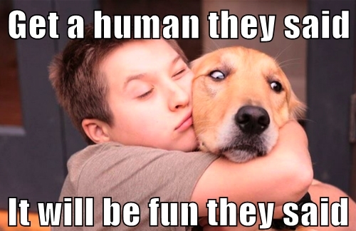 Get a Human