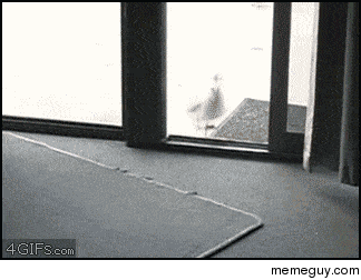 Get in and get out right