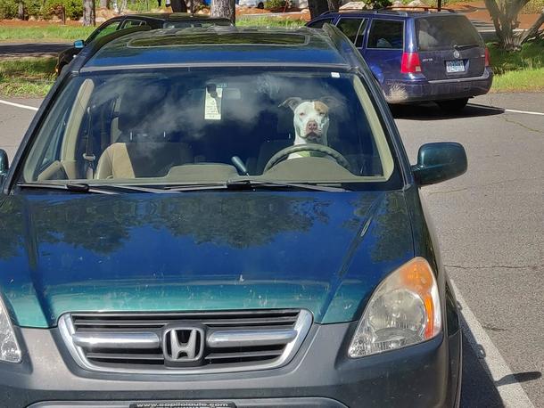 Get in loser were going to Petco