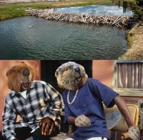 Get it