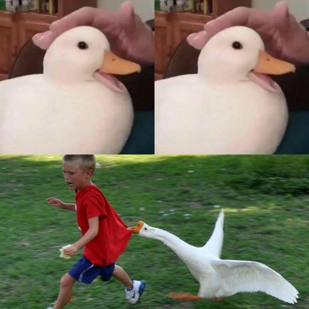 Get it Its funny