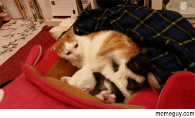 Get off me