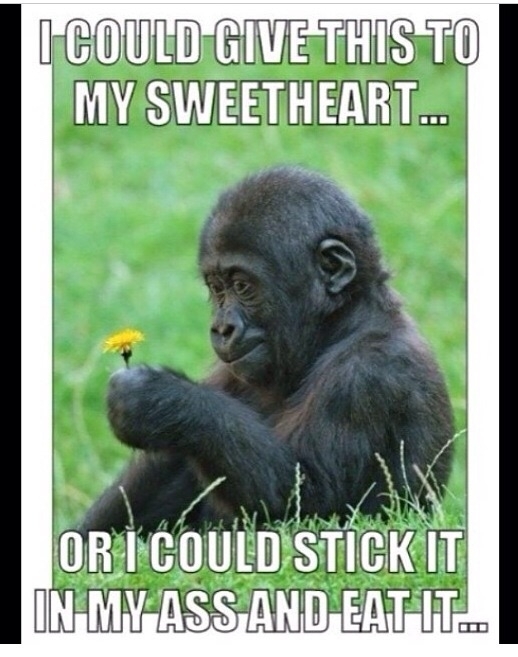 Gets me every time