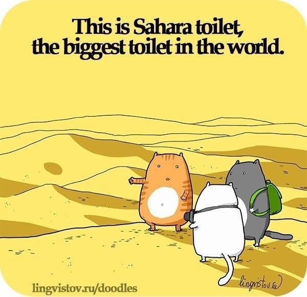 Gets me every time