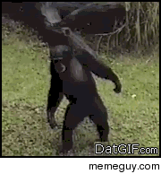 gets me every time without fail