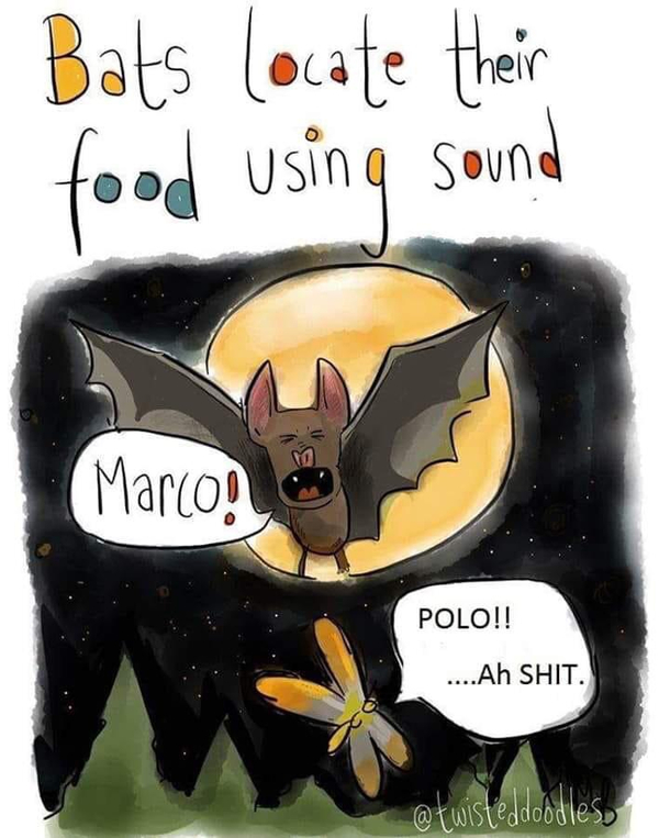 Gets them every time