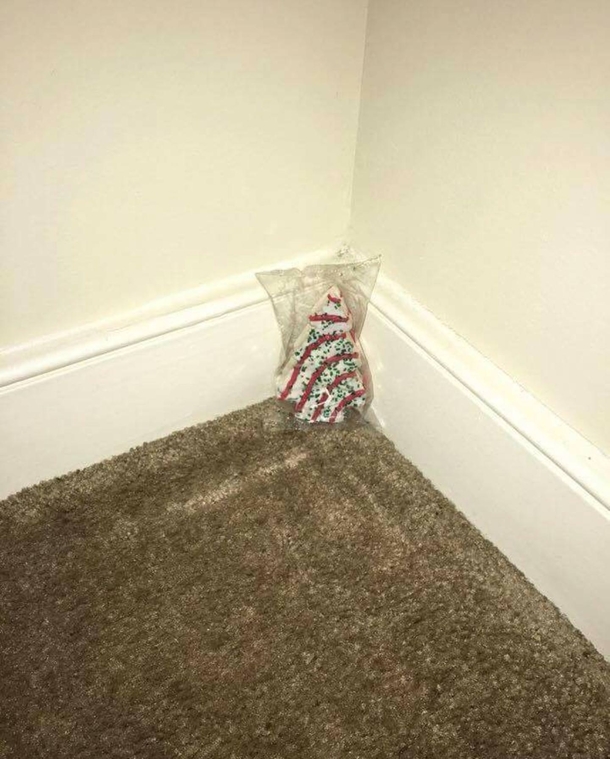 Getting festive this year