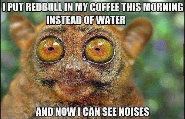 Getting ready for finals