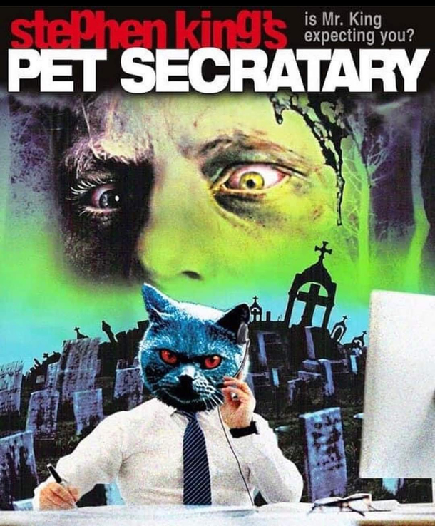 Getting the copies over right meow