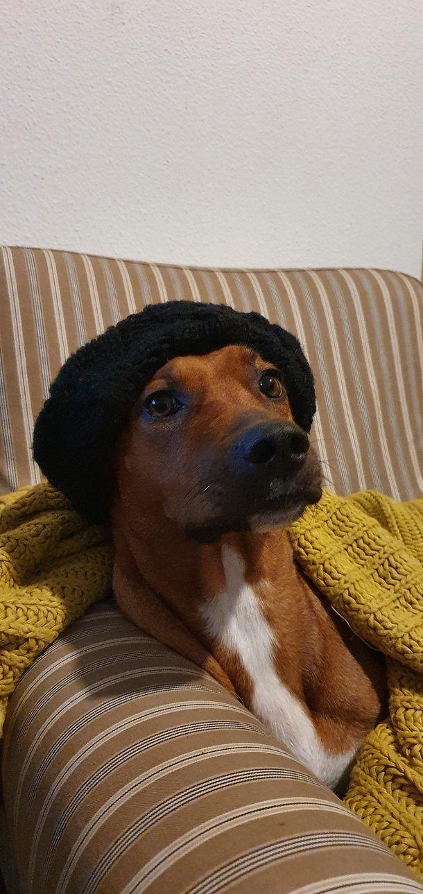 GF and I cant decide snoop or chappelle What say yee