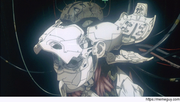 Ghost in the Shell
