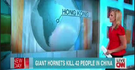 Giant hornets relocate Hong Kong