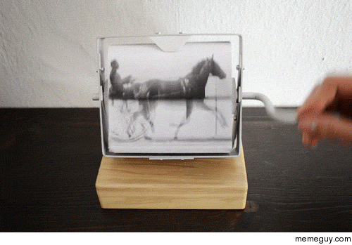 Gif Horse