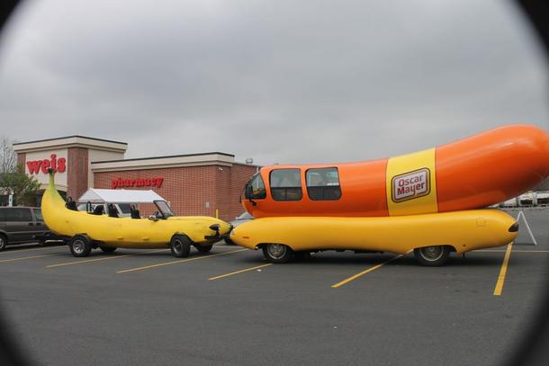 Gigantic hotdog banana for scale