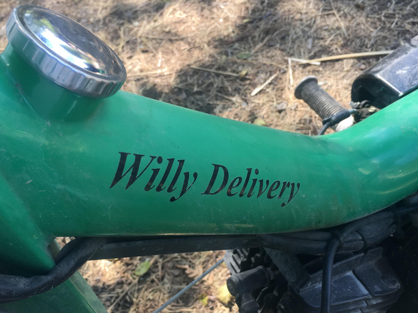 Gigolo on a bike