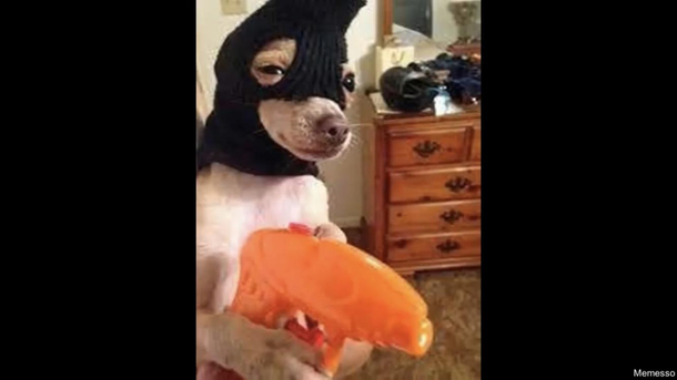 Gimme yo money
