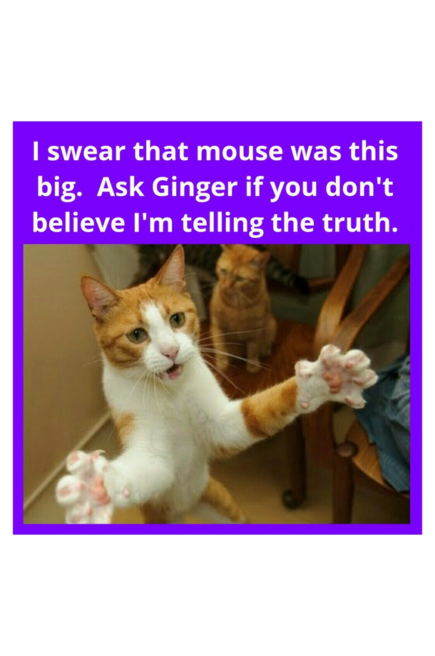 Ginger doesnt look very eager to testify