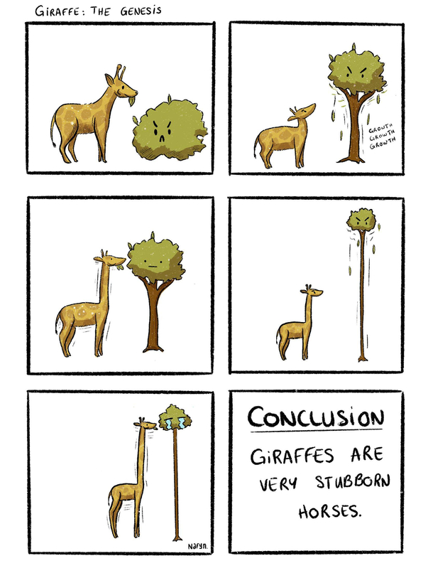 Giraffes the genesis