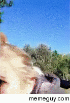 Giraffsic Park