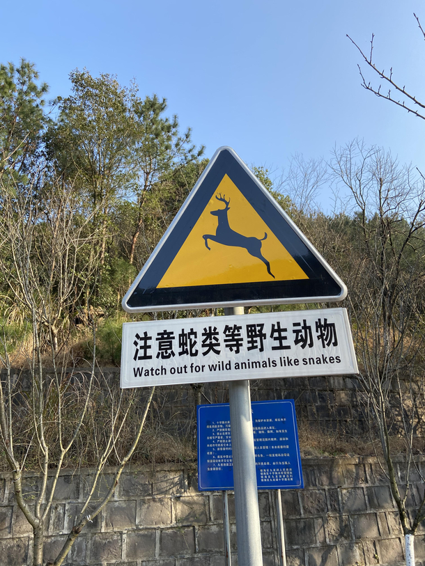 Girlfriend saw this while hiking