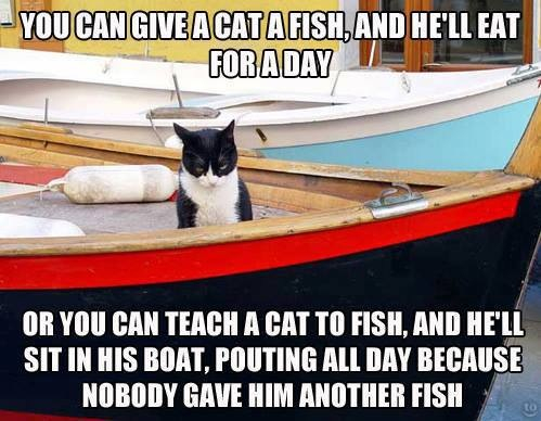 Give a cat a fish