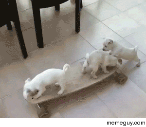 Give us a push