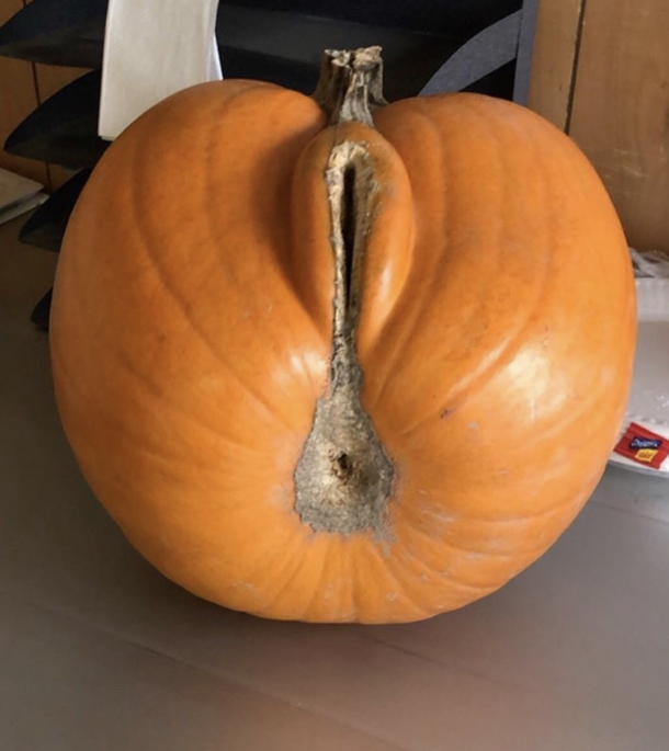 Gives a whole new meaning to smashing pumpkins