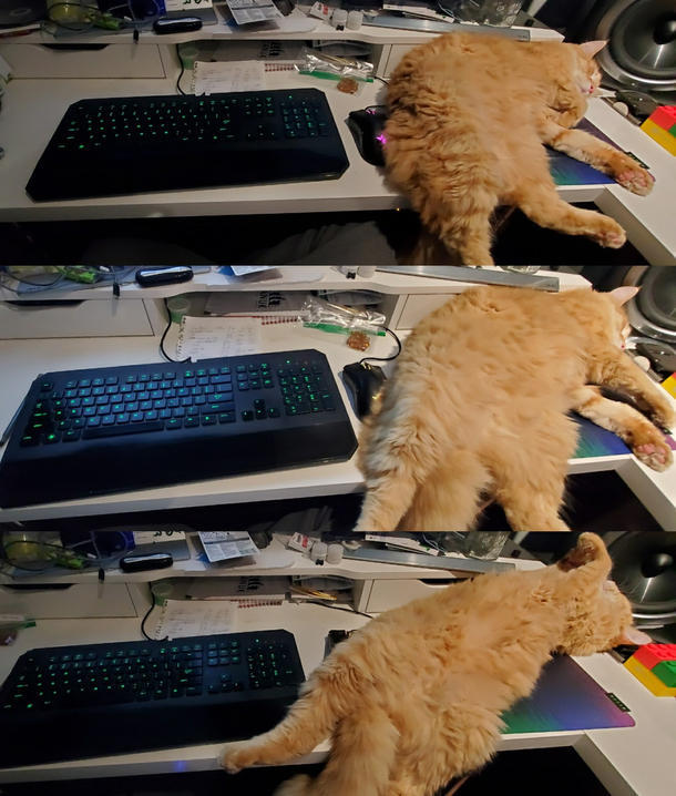 Glad I bought the big mouse pad