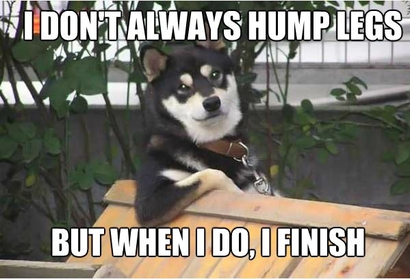Glad this isnt my dog