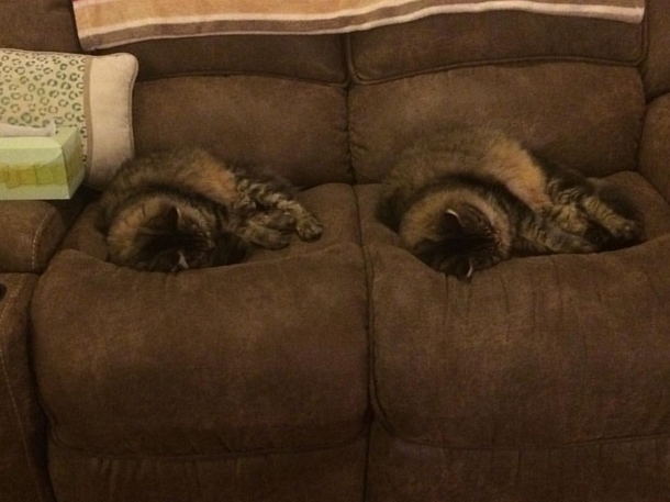 Glitch in the Matrix