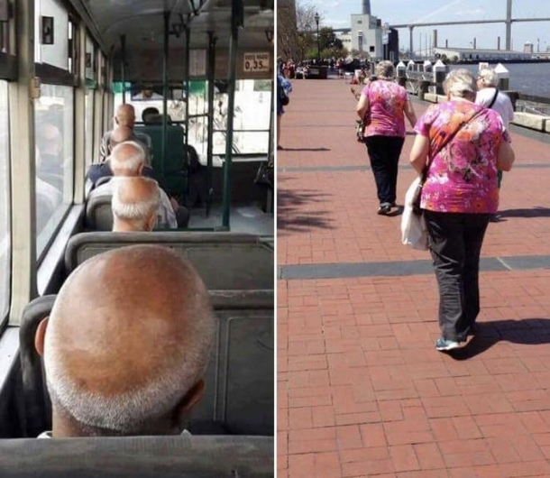 Glitch in the matrix