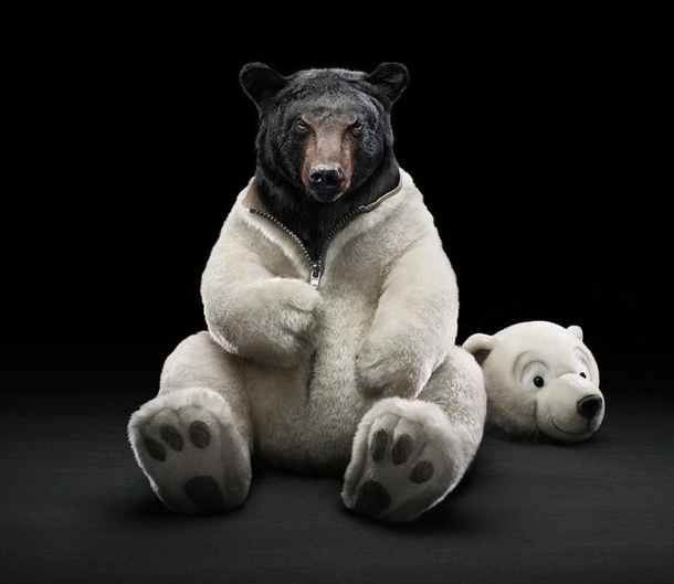 Global Warming