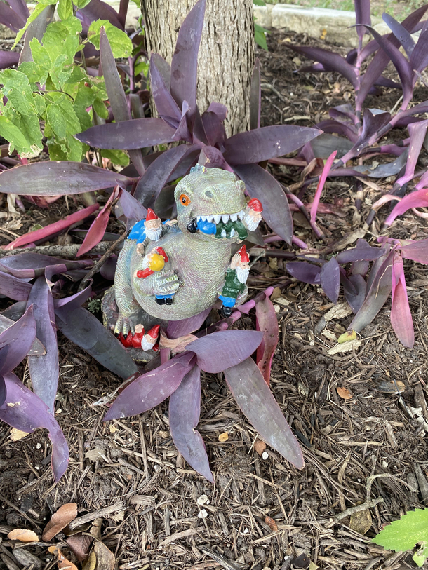 Gnome Gnome Gnome