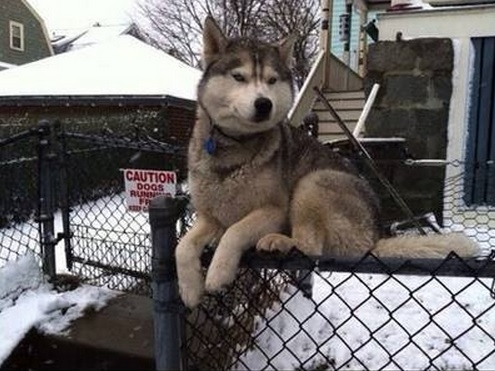 Go for a walk MehIm kind of on the fence about it