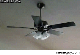Go home ceiling fan Youre drunk