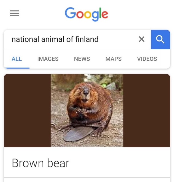 Go home google youre drunk