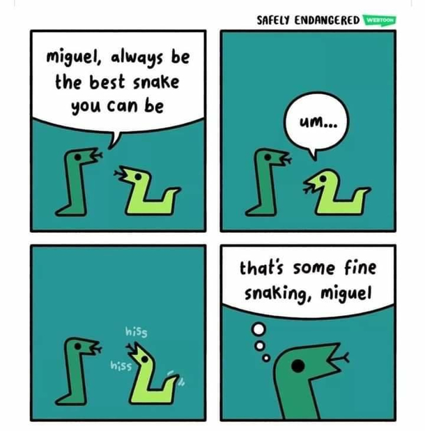 Go Miguel