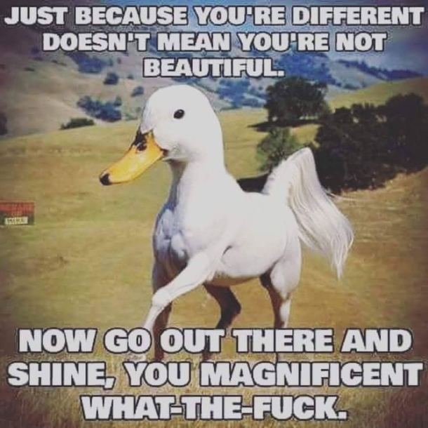 Go on get out there