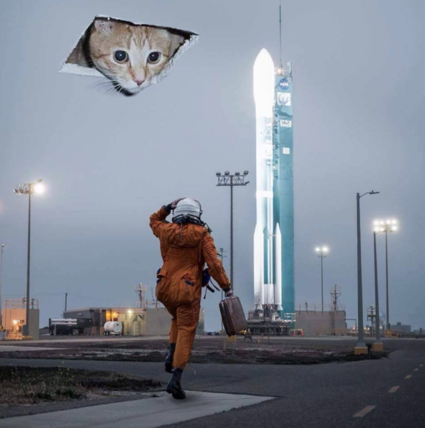 God is a cat