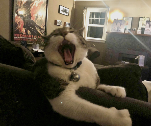 GODAMMIT WOMAN Now go make me a sammich