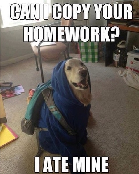 Goddamnit max