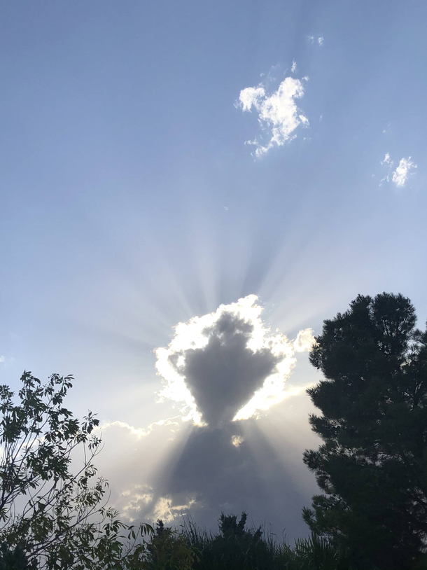 Gods own downvote