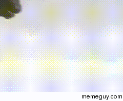 Godzilla drop kicking Megalon