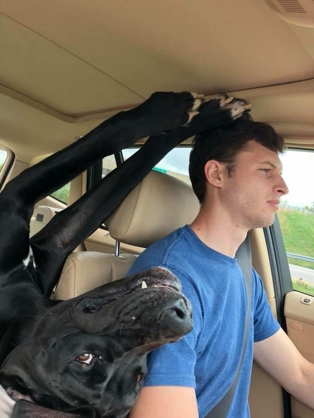 Going on a Road Trip 