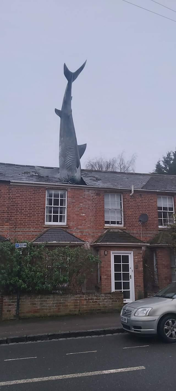Gone fishing